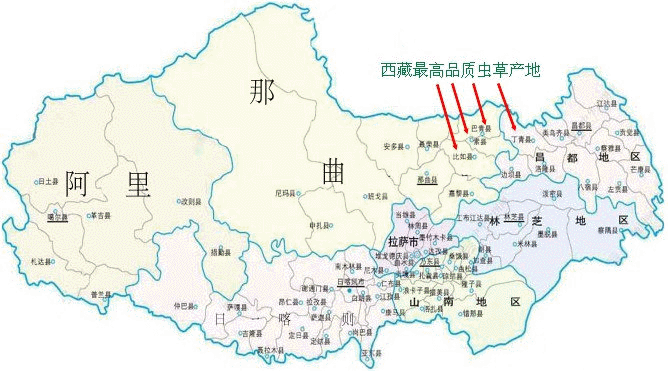 ��õĶ��x�Ĳ�,��õĶ��x�ĲݵĮa(ch��n)��,Ʒ�|��Ѷ��x�ĲݵĮa(ch��n)��,Ʒ�|��ö��x�ĲݵĮa(ch��n)��,���ض��x�Ĳݵ���Ѯa(ch��n)��