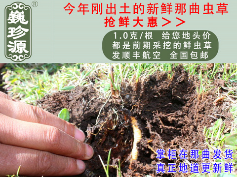 ���r���x�Ĳ����^�����r�x����Ρ��Դ1��/�����r�������x�Ĳ��^���������ڳ����������^�����r�x��