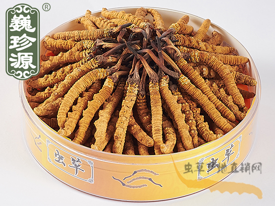 �^�ڶ��x�Ĳݣ�2��/�������^���x�������x�Ĳ�