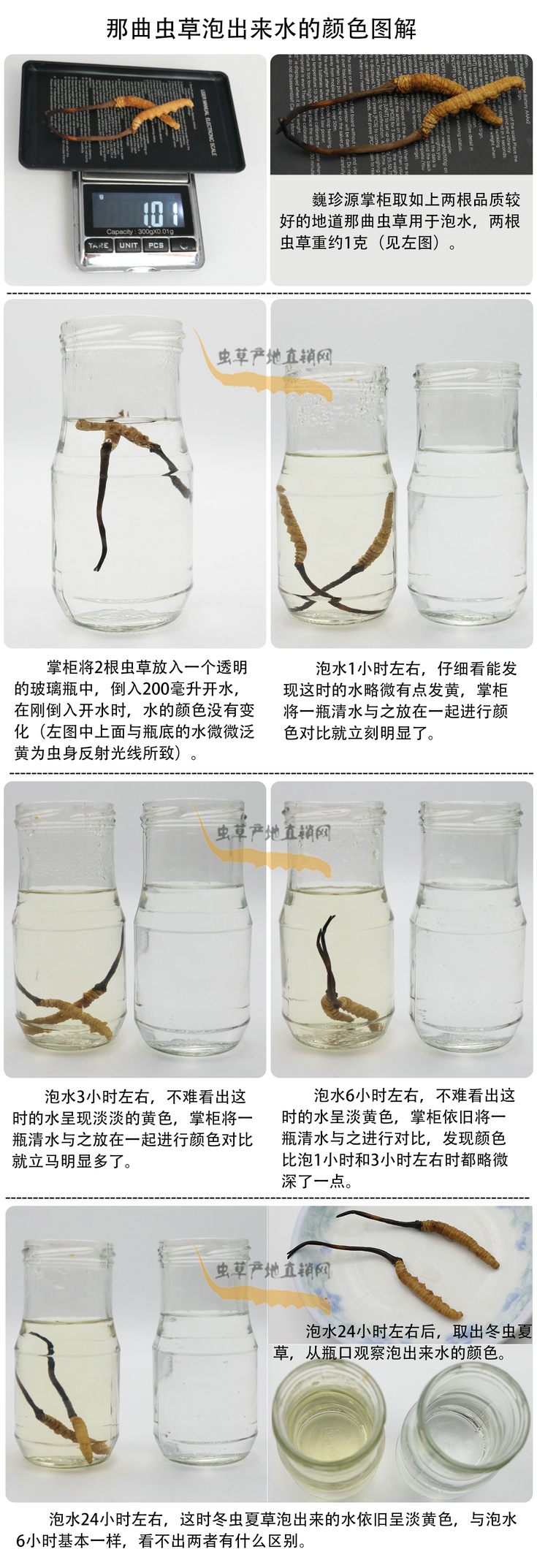 ���x�Ĳ��ݳ���ˮ���ɫ�����x�Ĳ��ݳ�����ˮ��ʲô�ɫ�����x�Ĳ���ˮ���ɫ��׃�����������x�����^ˮ��ˮ׃��ʲô�ɫ