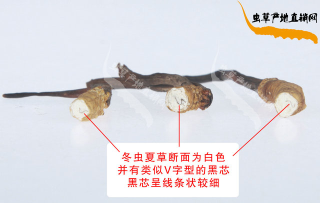 �(ji��n)�ζ��x�Ĳ�����b�e����,�(ji��n)�����ٶ��x�Ĳݱ�e����,�(ji��n)�ε���ٶ��x�Ĳݷֱ淽��