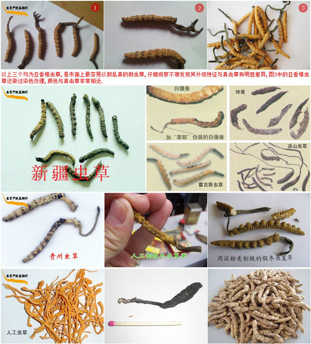 ������x�݈DƬ,�ٶ��x�Ĳݵ����^����,���x�ݵĘ���,��N�ٶ��x�ĲݵĈDƬչʾ